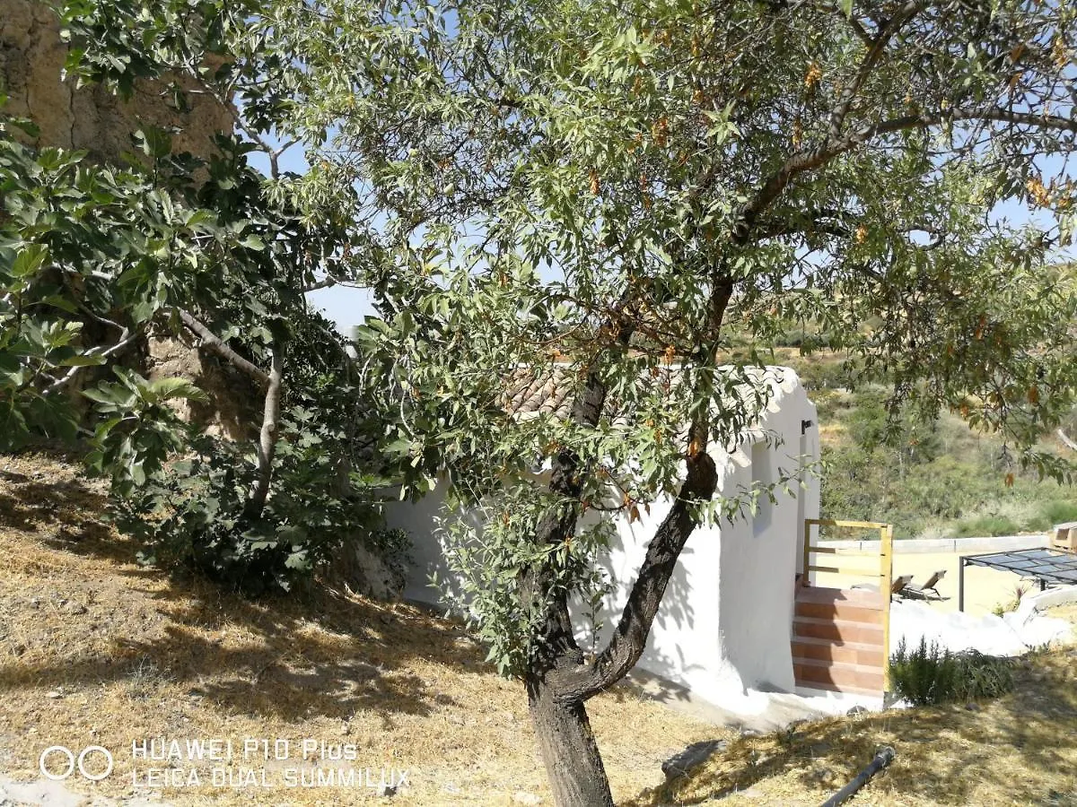 Molino Mio Apartment Lucar Spain